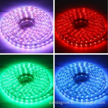 Top Quality 2.4W-3.0W/M Most Powerful 12V 13mm, Vertical, Cool White 45m LED Rope Light Christmas Lighted Reindeer